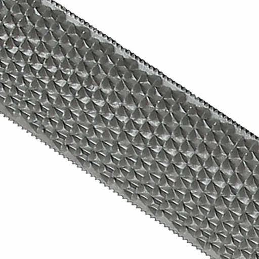 Beta | 1719BM/RG | Halfronde rasp met kunststof handvat | 017190353