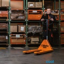 Beta 3069 - Palletwagen - Afbeelding 3