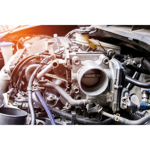 Beta | 9745 | Carburateurreiniger (Carb Cleaner)