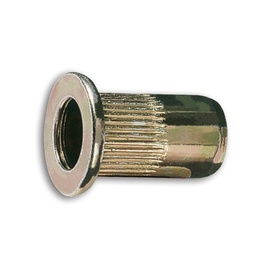 Stalen klinknagels met schroefdraad voor 1742 (3 mm)