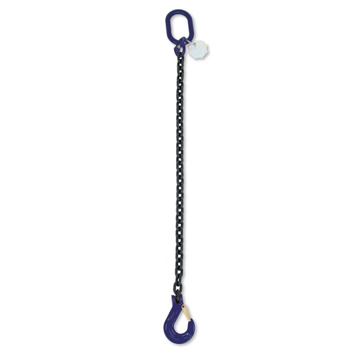 Beta | 8091/G10 | Kettingleng 1 sprong, in kunststof koffer, grade 10