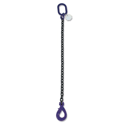 Beta | 8091SL/G10 | Kettingleng 1 sprong, zelfsluitende haak, grade 10