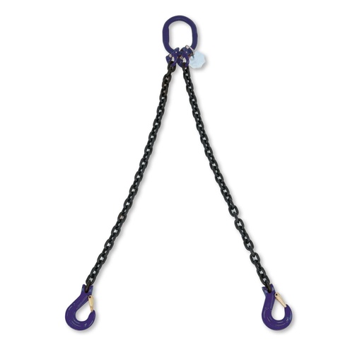 Beta | 8092/G10 | Kettingleng 2 sprong, in kunststof koffer, grade 10